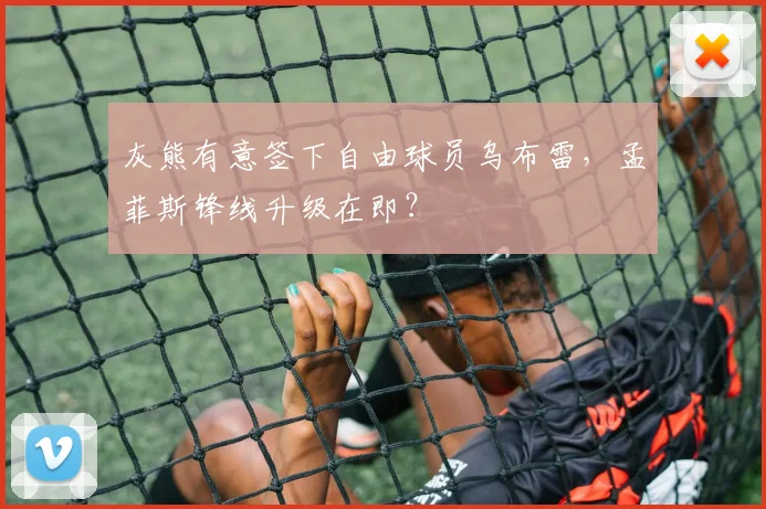 灰熊有意签下自由球员乌布雷，孟菲斯锋线升级在即？